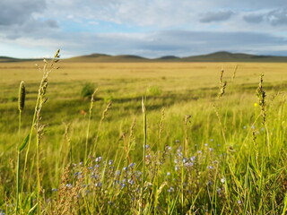 Путешествие