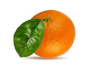 Mandarin isolated on white background with clipping path