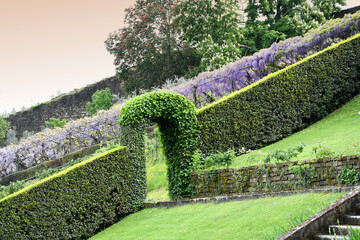 A beautiful garden in Florence near Michelangelo square. Spring season, Italy