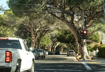 An intersection of a tree covered street in Santa Barbara.
