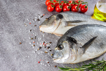Fresh fish dorado on grey concrete background with ingredients for cooking