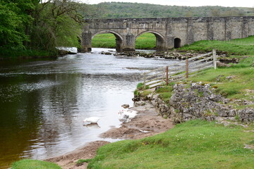 Fototapeta premium Walk in Yorkshire