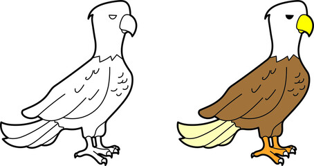Eagle vector drawing cartoon coloring for children line art and colored