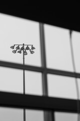 black and white view out the window