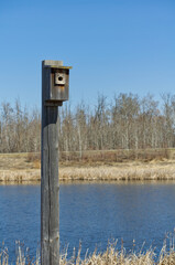 A Birdhouse for Tree Swallows at Pylypow