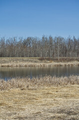 Pylypow Wetlands on a Spring Day