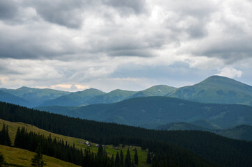 Small shepherd houses on wide hill with grassy meadow near pine forest with Chornohora ridge on background under cloudy sky. Carpathian Mountains, Ukraine 