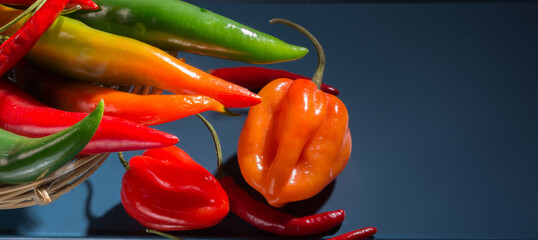 Chilli pepper, different types and colors, with copy-space and blue background
