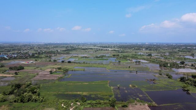 Rice field in the countryside are industrial and made money of the local in Thailand.