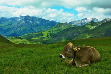 Austrian Alps - view from the Sonnenjet-Auenfeld chairlift station in the Lechtal Alps