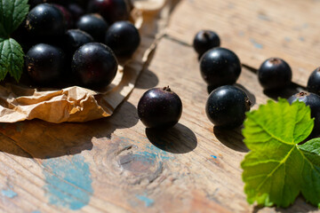 Black currants berries and green leaves on sunshine with dark shadows. Vegetarian food
