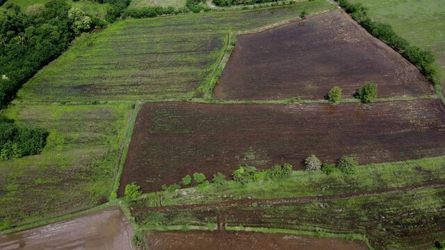 Rice field in the countryside are industrial and made money of the local in Thailand.