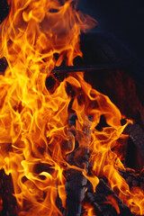 Flame with firewood closeup