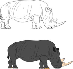 rhinoceros vector drawing cartoon coloring for children line art and colored