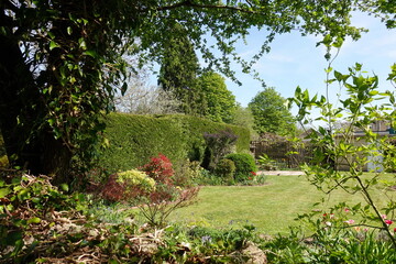 Garden Lawn Framed by Leafy Foliage