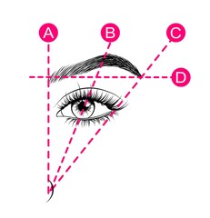 Eyebrow tutorial on detailed eye. Hand-drawn illustration in vector.beauty template