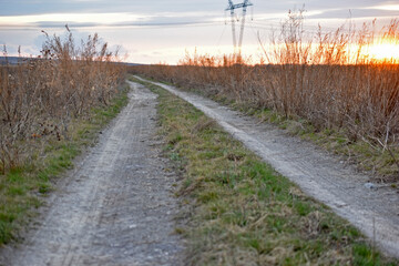 Fototapeta na wymiar Rural country road in the evening in the field