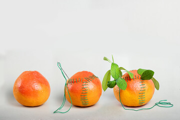 Three ripe orange grapefruits two stitched with green thread with a needle and green leaves