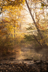 Fog rises from the creek in golden light at Cades Cove. - 431557427