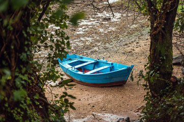 Wooden boat placed on wet shore in park