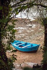 Fototapeta na wymiar Wooden boat placed on wet shore in park
