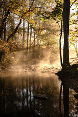 Fog rises from the creek in golden light at Cades Cove. - 431557840