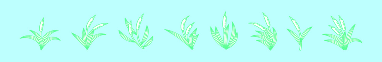 set of cattail cartoon icon design template with various models. vector illustration isolated on blue background