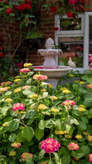 stone water fountain surrounded by flowers in sunlight 