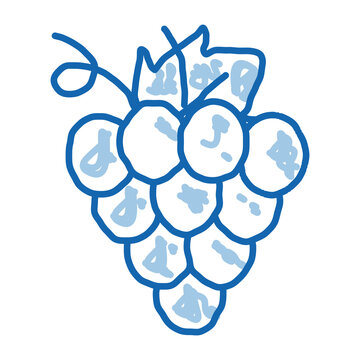 recommend clip art: Grape Wine Berry doodle icon hand drawn illustration