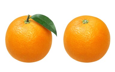 オレンジ イラスト リアル