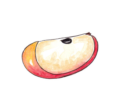 recommend clip art: Hand drawn watercolor Natural ripe fruit - Apple slice