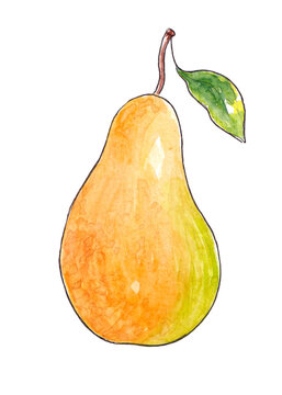 recommend clip art: Hand drawn watercolor Natural ripe fruit - Pear