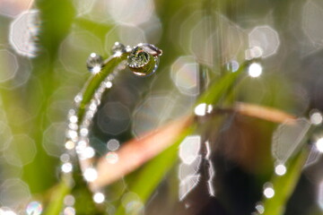 water drops bokeh. Detail of a drop of water with the reflection in focus and the rest of the image with bokeh