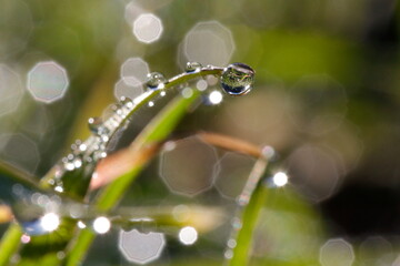 water drops bokeh. Detail of a drop of water with the reflection in focus and the rest of the image with bokeh