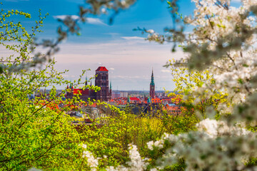 Spring scenery of the old town in Gdańsk around blooming trees. Poland