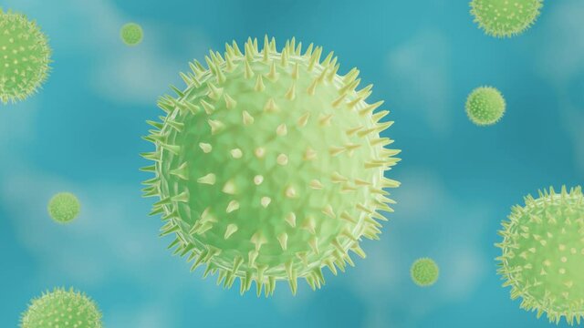 Pollen grains in the air, Pollen allergy, Hay fever