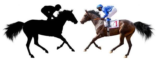 jockey at the races in a blue jacket, isolated on a white background, racetrack sports with horses