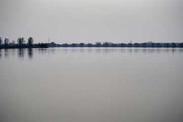 Bank of a river in Bavaria Photographed in detail