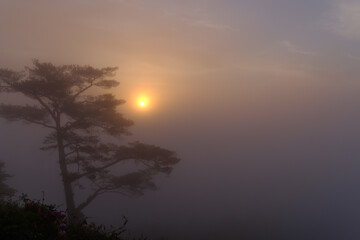 Fototapeta na wymiar Morning walk on a foggy misty mountain