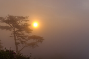 Fototapeta na wymiar Morning walk on a foggy misty mountain