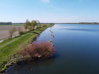 Bank of a river in Bavaria Photographed in detail