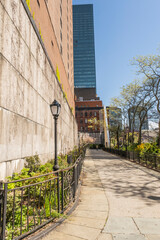 A alley in a park
