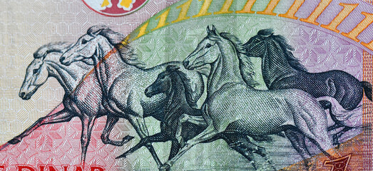 caballos en un billete arabe