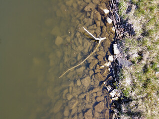 Bank of a river in Bavaria Photographed in detail