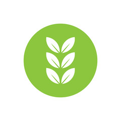 ikon daun sederhana.