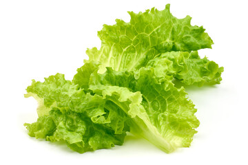 Lettuce Salad leaf, isolated on white background. High resolution image.