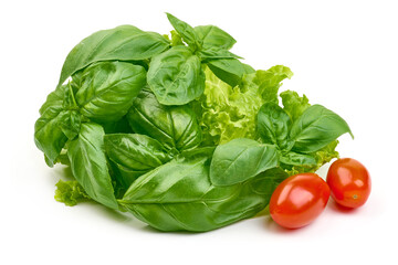 Fresh basil leaves and lettuce, isolated on a white background. High resolution image