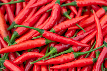 Fresh red chili pepper background.