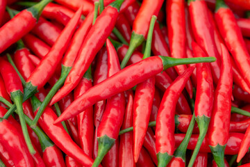 Fresh red chili pepper background.