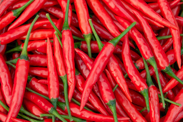 Fresh red chili pepper background.
